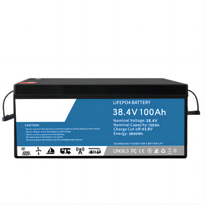 データ センターのバックアップのための LifeP04 リチウム電池 100ah 多機能を放電する 0.2C